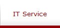 IT Service