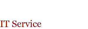 IT Service