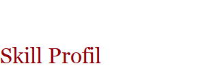 Skill Profil